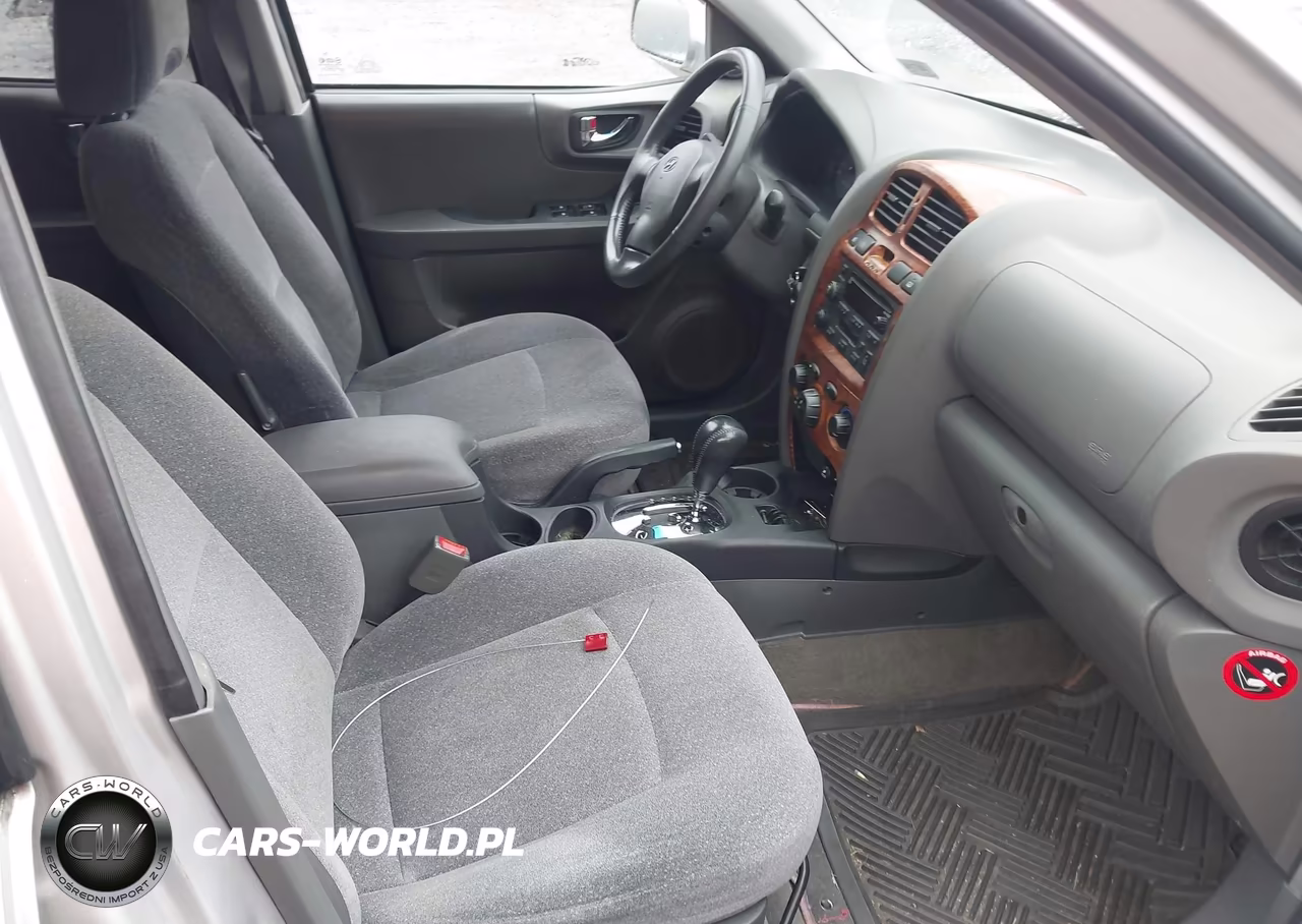 2003 Hyundai Santa Fe Gls-Lx VIN:KM8SC13D03U424811 - 5