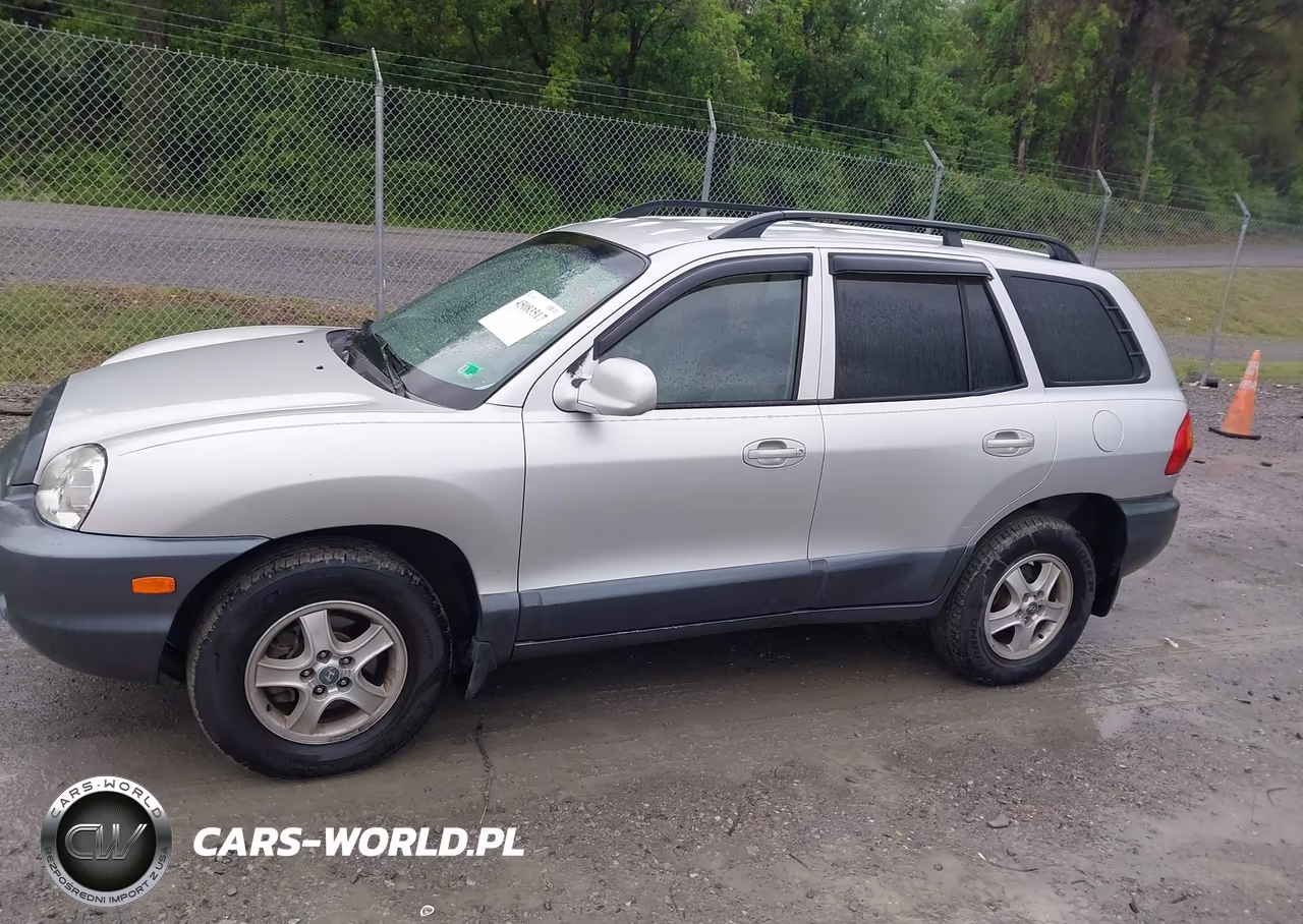 2003 Hyundai Santa Fe Gls-Lx VIN:KM8SC13D03U424811 - 6