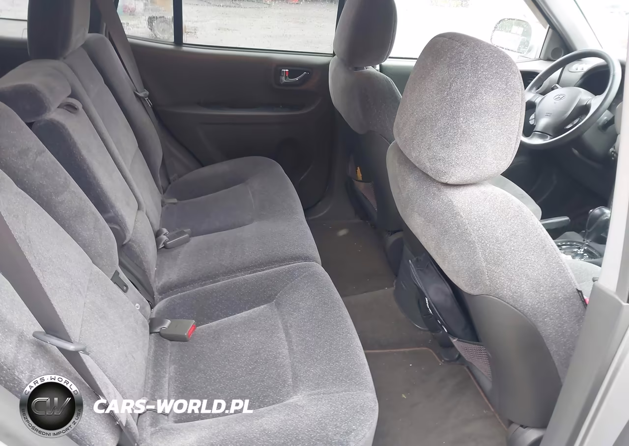 2003 Hyundai Santa Fe Gls-Lx VIN:KM8SC13D03U424811 - 8