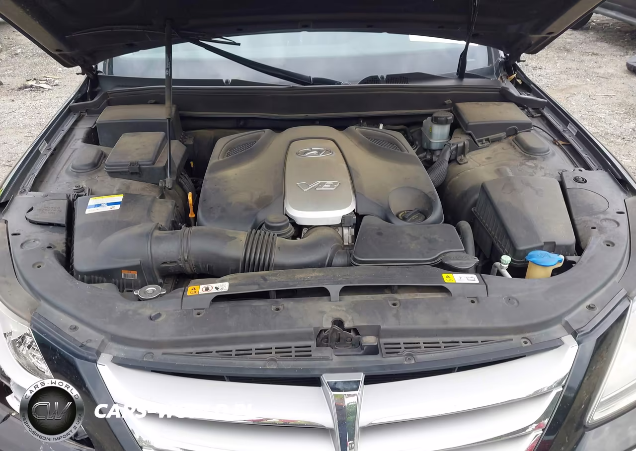 2012 Hyundai Genesis 4.6 VIN:KMHGC4DF6CU175440 - 10