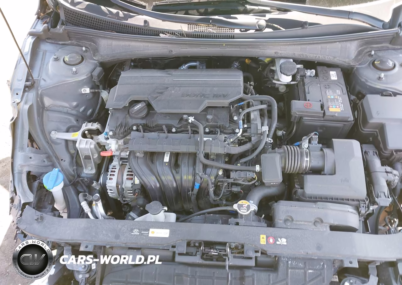 2024 Hyundai Elantra Limited VIN:KMHLP4DG8RU841394 - 10