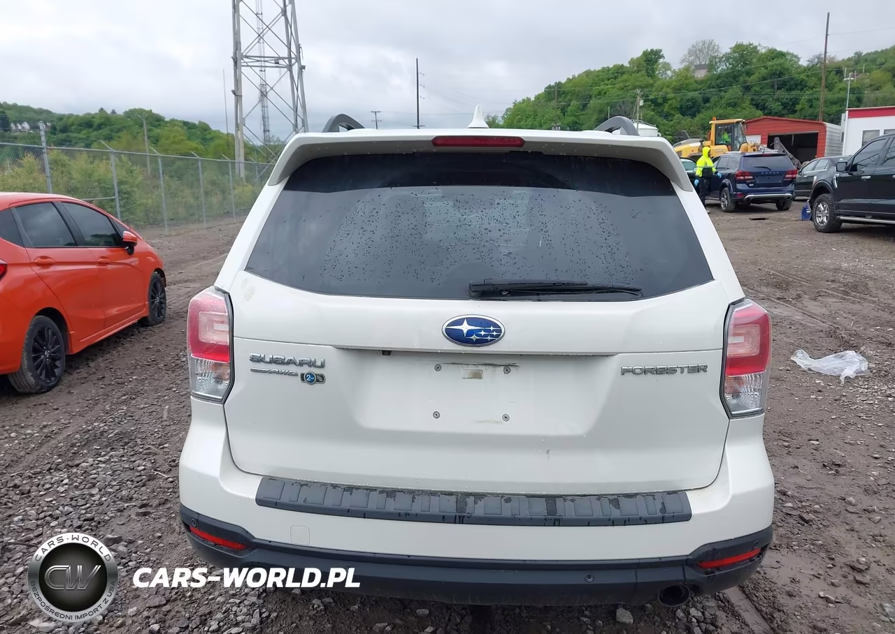 2018 Subaru Forester 2.5I Touring VIN:JF2SJAWC4JH486815 - 17