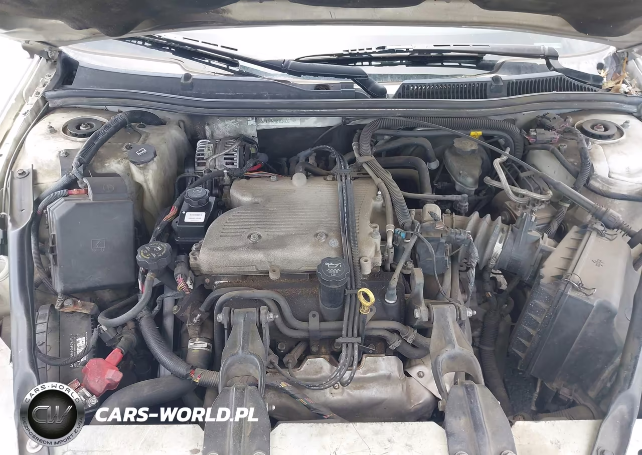 2009 Chevrolet Impala Lt VIN:2G1WT57K391181062 - 10