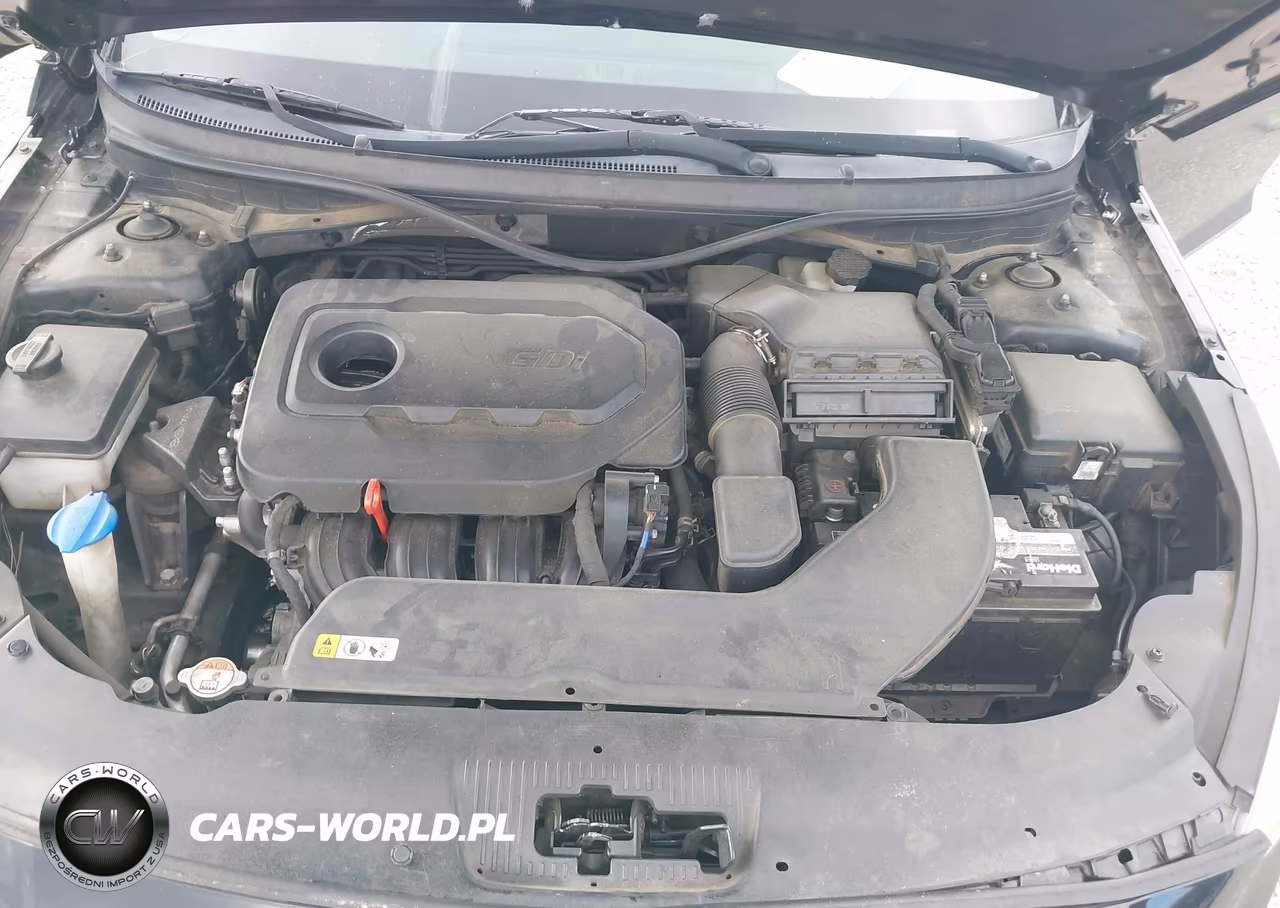 2016 Hyundai Sonata VIN:5NPE24AF7GH416800 - 10