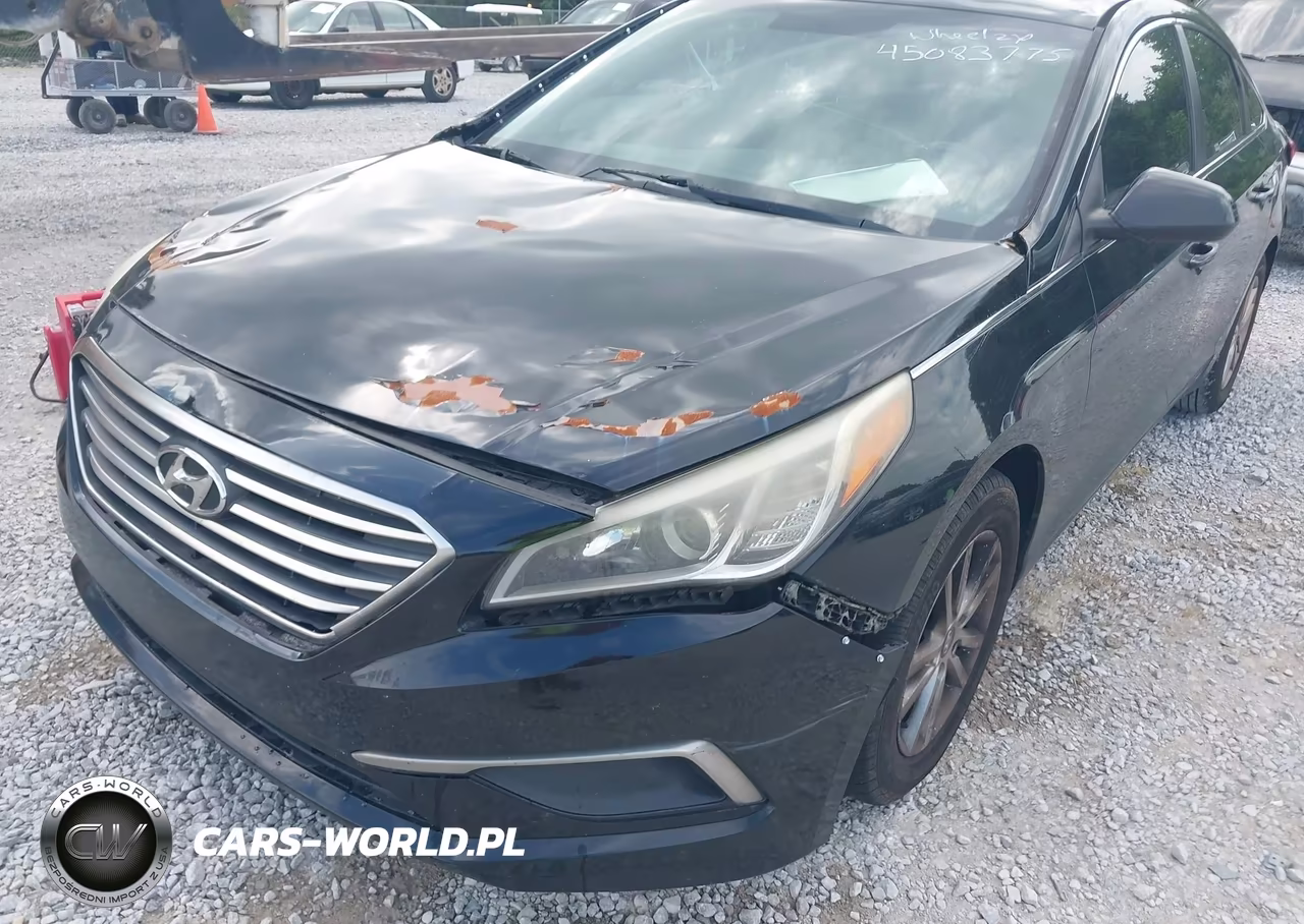 2016 Hyundai Sonata VIN:5NPE24AF7GH416800 - 6