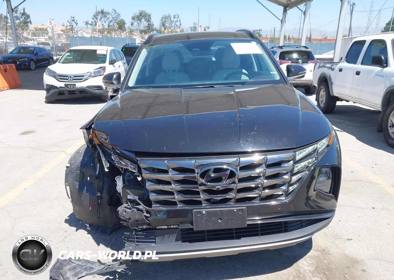 2023 Hyundai Tucson Hybrid Limited VIN:KM8JECA11PU127255 - 12