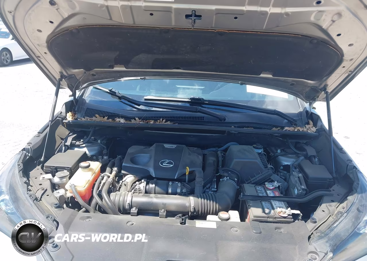 2015 Lexus Nx 200T F Sport VIN:JTJYARBZ9F2021522 - 10