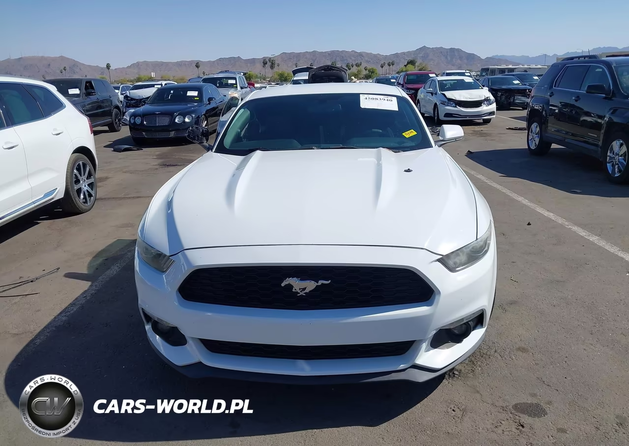 2017 Ford Mustang Ecoboost VIN:1FA6P8TH3H5344786 - 12