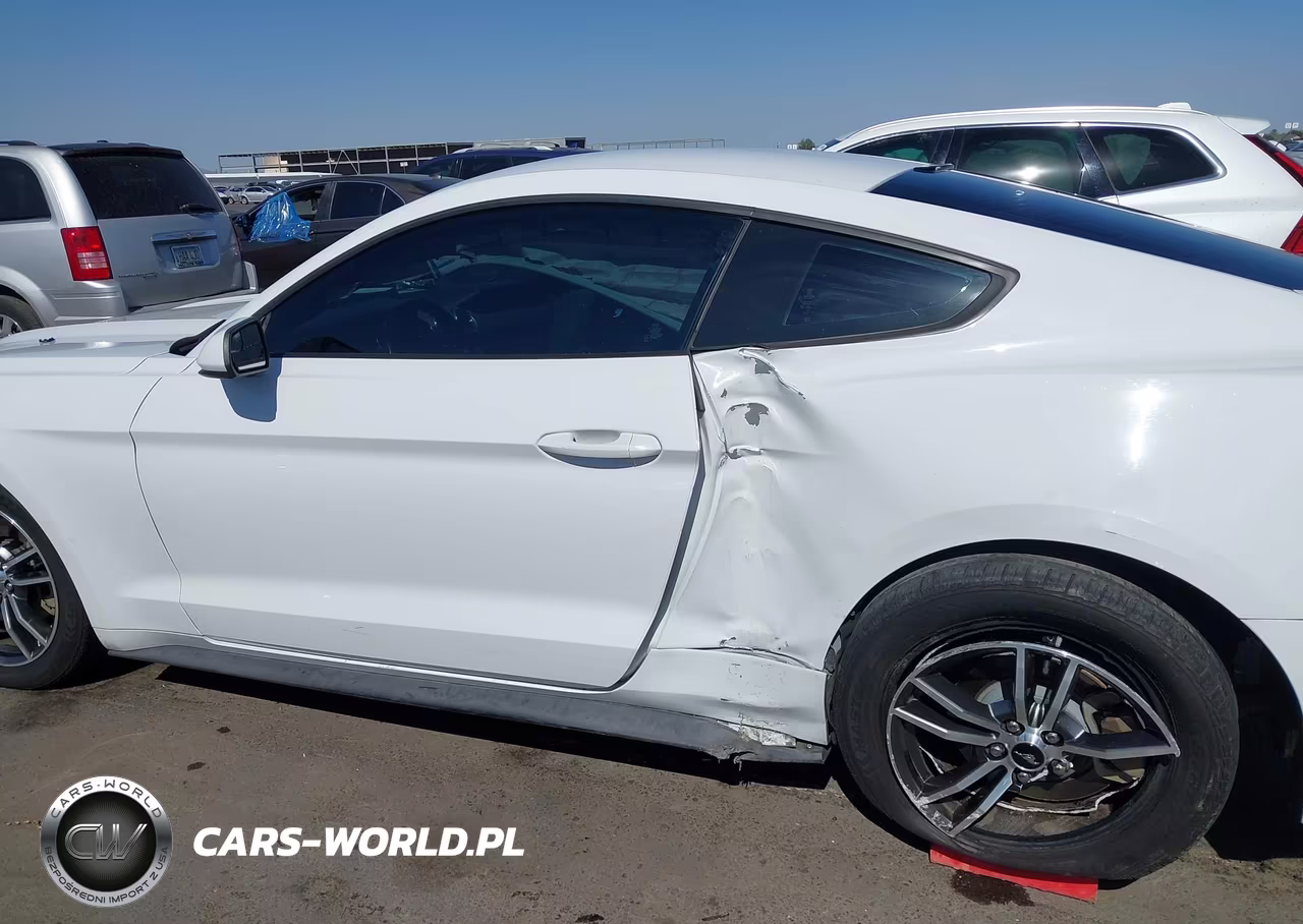 2017 Ford Mustang Ecoboost VIN:1FA6P8TH3H5344786 - 14