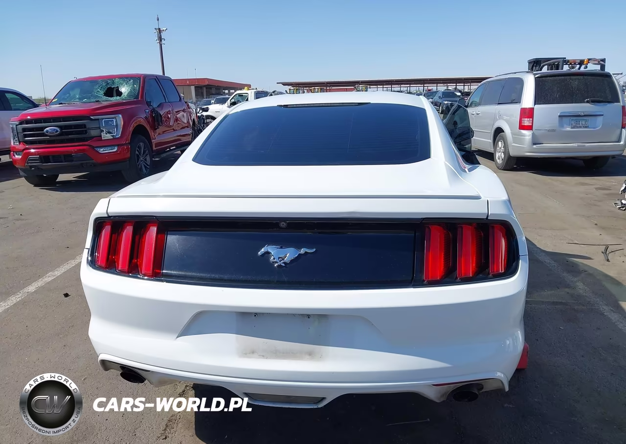 2017 Ford Mustang Ecoboost VIN:1FA6P8TH3H5344786 - 16