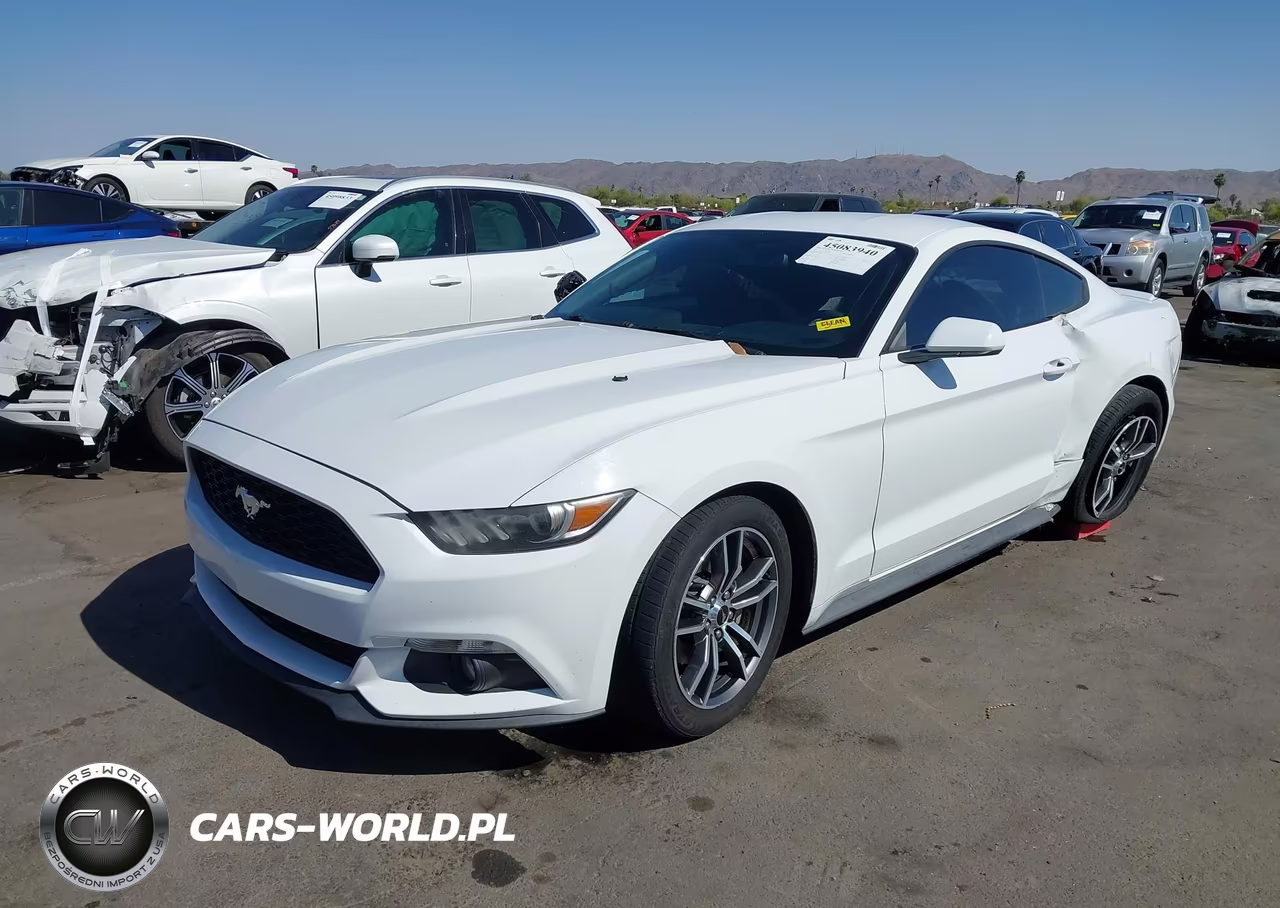 2017 Ford Mustang Ecoboost VIN:1FA6P8TH3H5344786 - 2