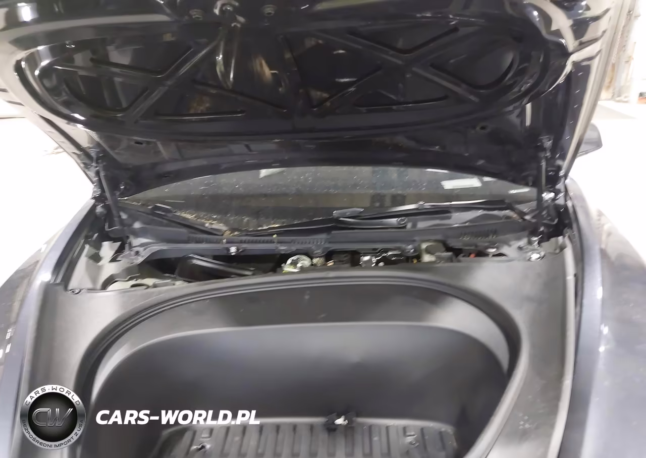 2025 Tesla Model 3 Performance All-Wheel Drive VIN:5YJ3E1ET3SF971988 - 10