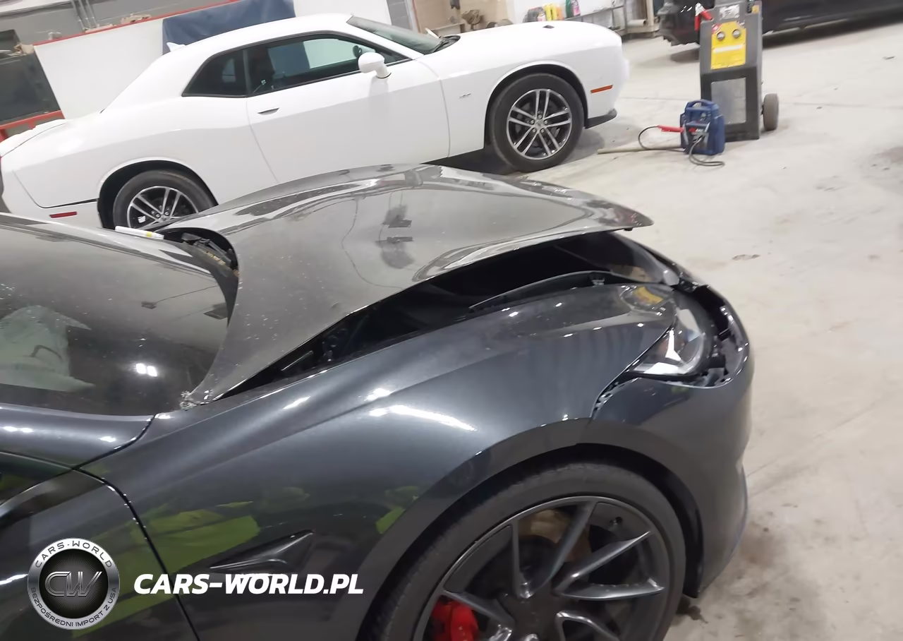 2025 Tesla Model 3 Performance All-Wheel Drive VIN:5YJ3E1ET3SF971988 - 22
