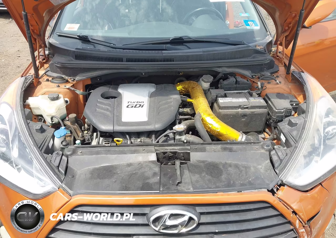 2015 Hyundai Veloster Turbo VIN:KMHTC6AE7FU216488 - 10