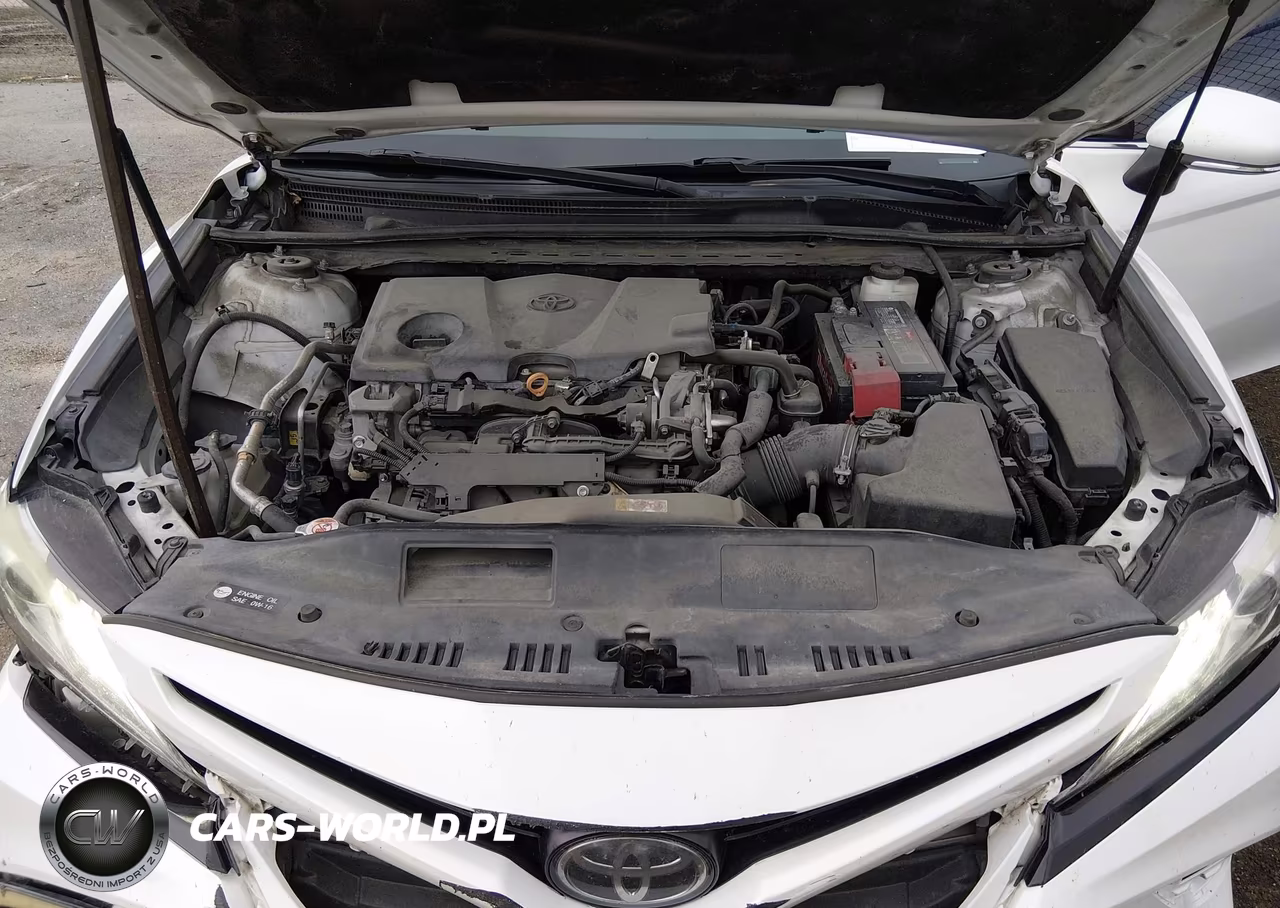 2019 Toyota Camry Xse VIN:4T1B61HK1KU697883 - 10