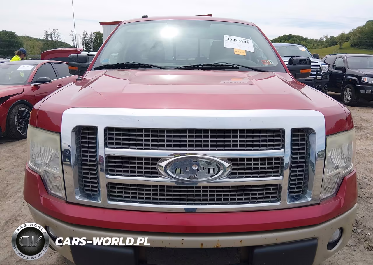 2009 Ford F-150 Fx4-Lariat-Xl-Xlt VIN:1FTPX14V99FA56955 - 12