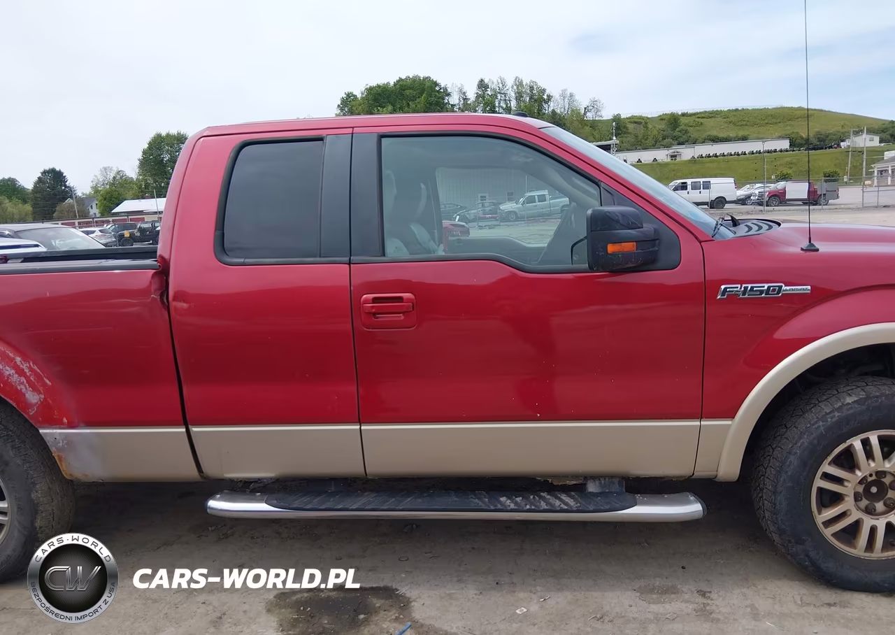2009 Ford F-150 Fx4-Lariat-Xl-Xlt VIN:1FTPX14V99FA56955 - 13