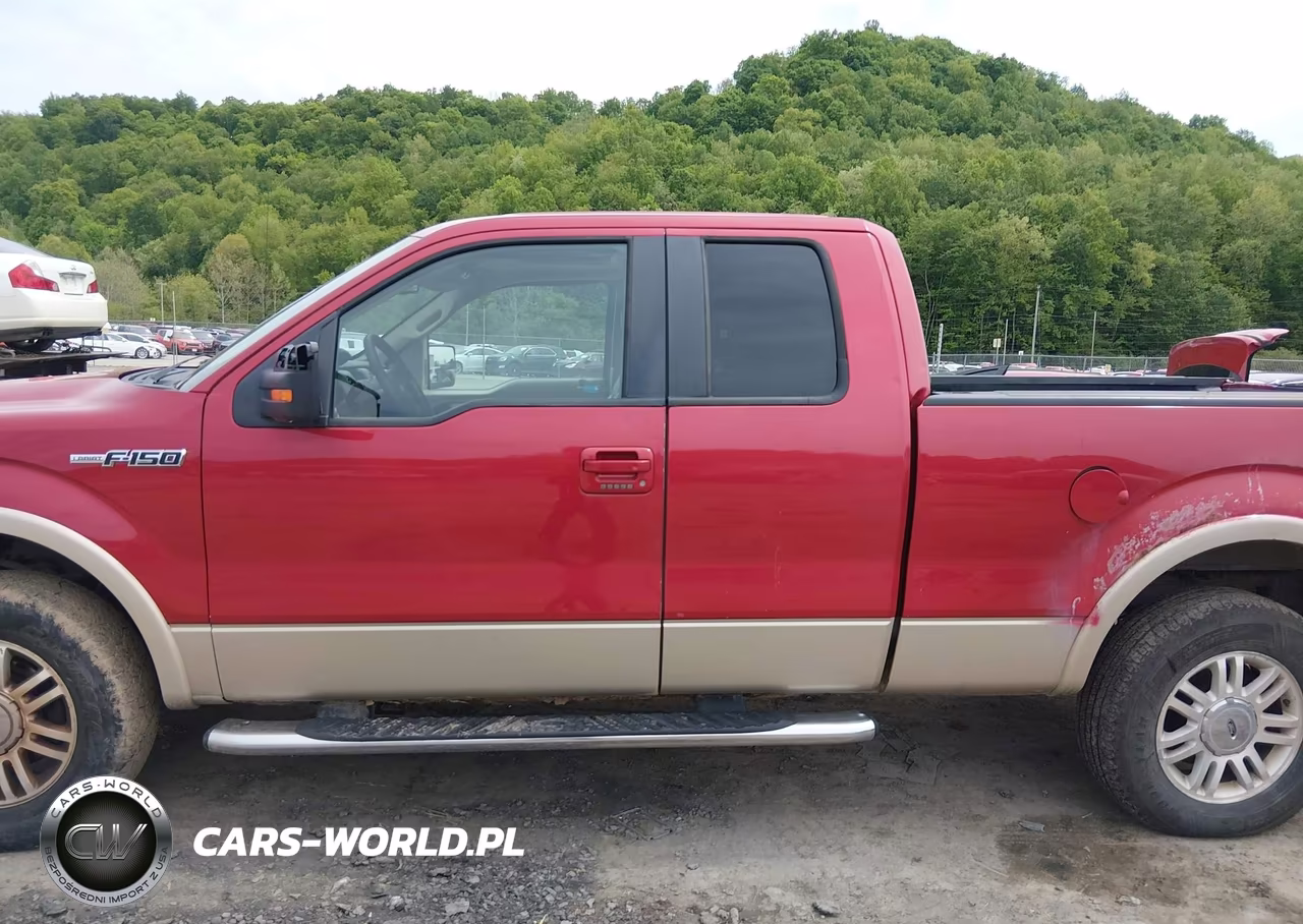 2009 Ford F-150 Fx4-Lariat-Xl-Xlt VIN:1FTPX14V99FA56955 - 14