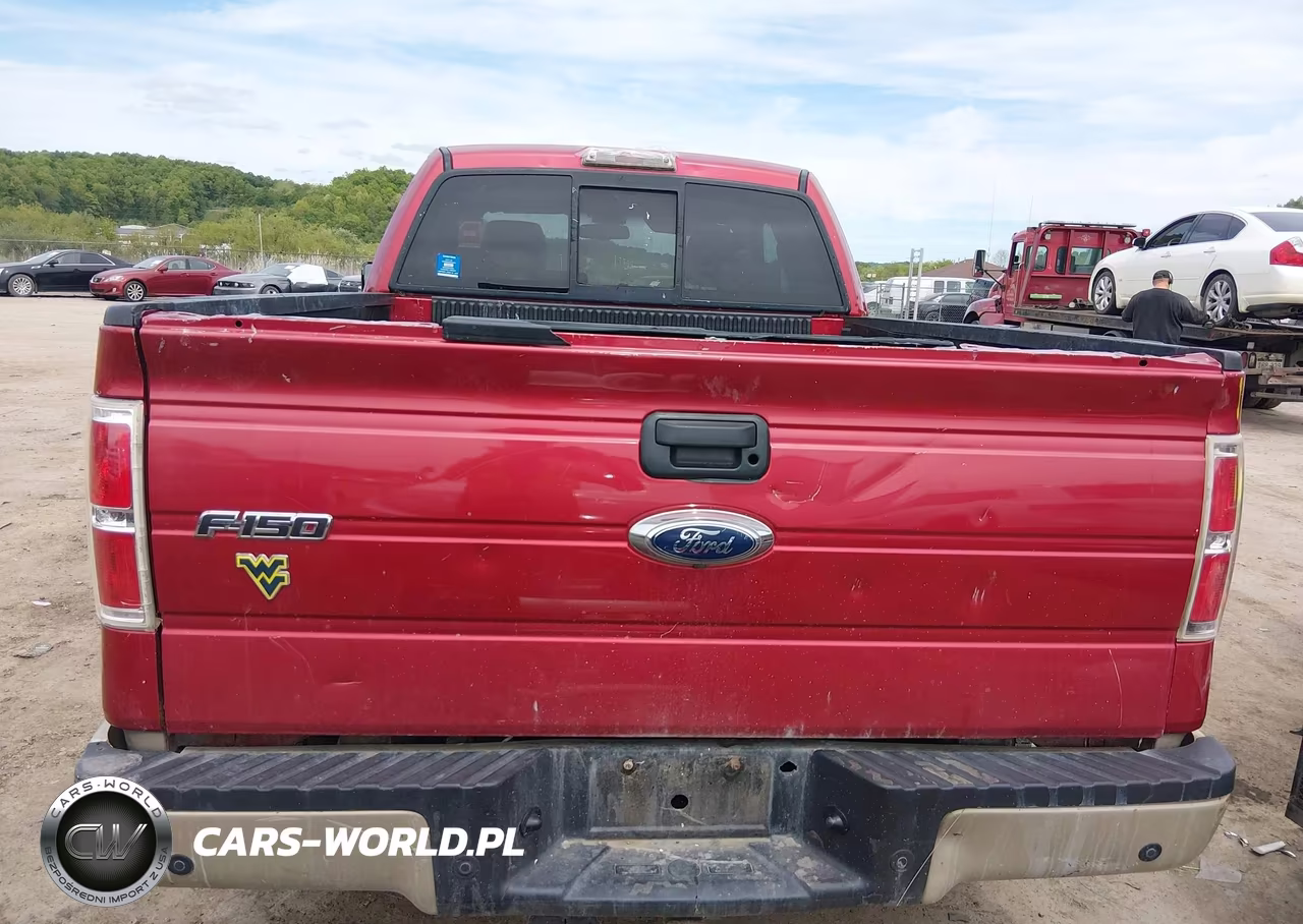 2009 Ford F-150 Fx4-Lariat-Xl-Xlt VIN:1FTPX14V99FA56955 - 16