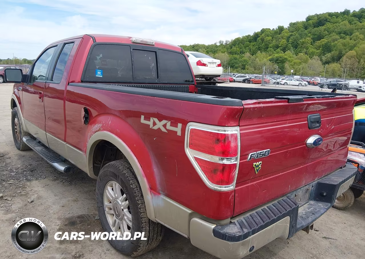 2009 Ford F-150 Fx4-Lariat-Xl-Xlt VIN:1FTPX14V99FA56955 - 3