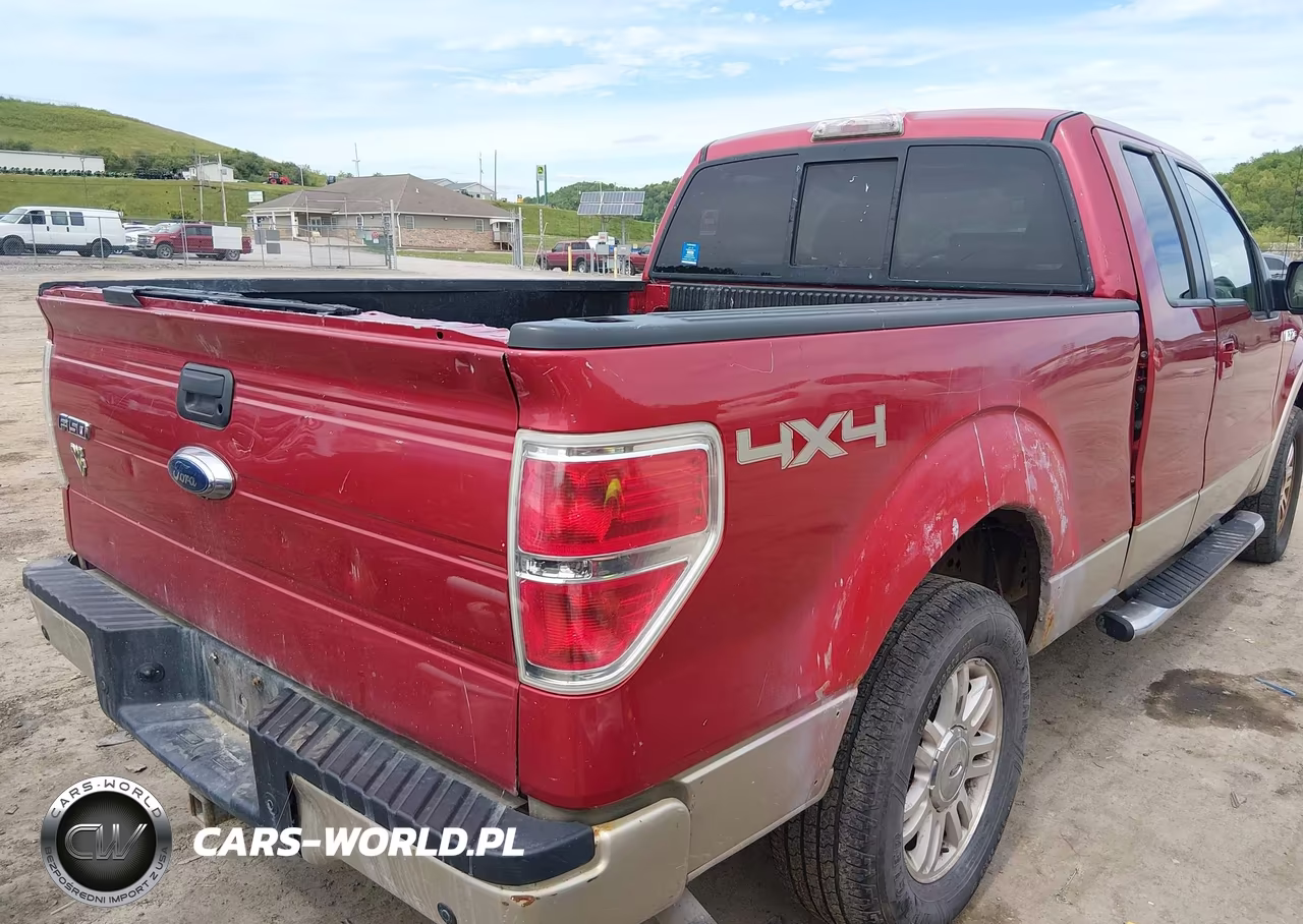 2009 Ford F-150 Fx4-Lariat-Xl-Xlt VIN:1FTPX14V99FA56955 - 4