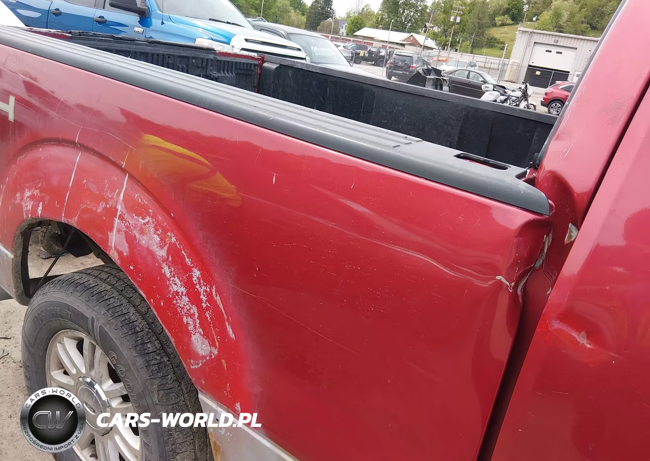 2009 Ford F-150 Fx4-Lariat-Xl-Xlt VIN:1FTPX14V99FA56955 - 6