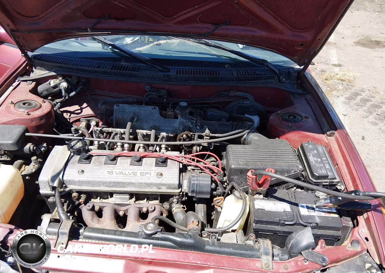 1995 Toyota Corolla Le VIN:2T1AE00B1SC103296 - 10