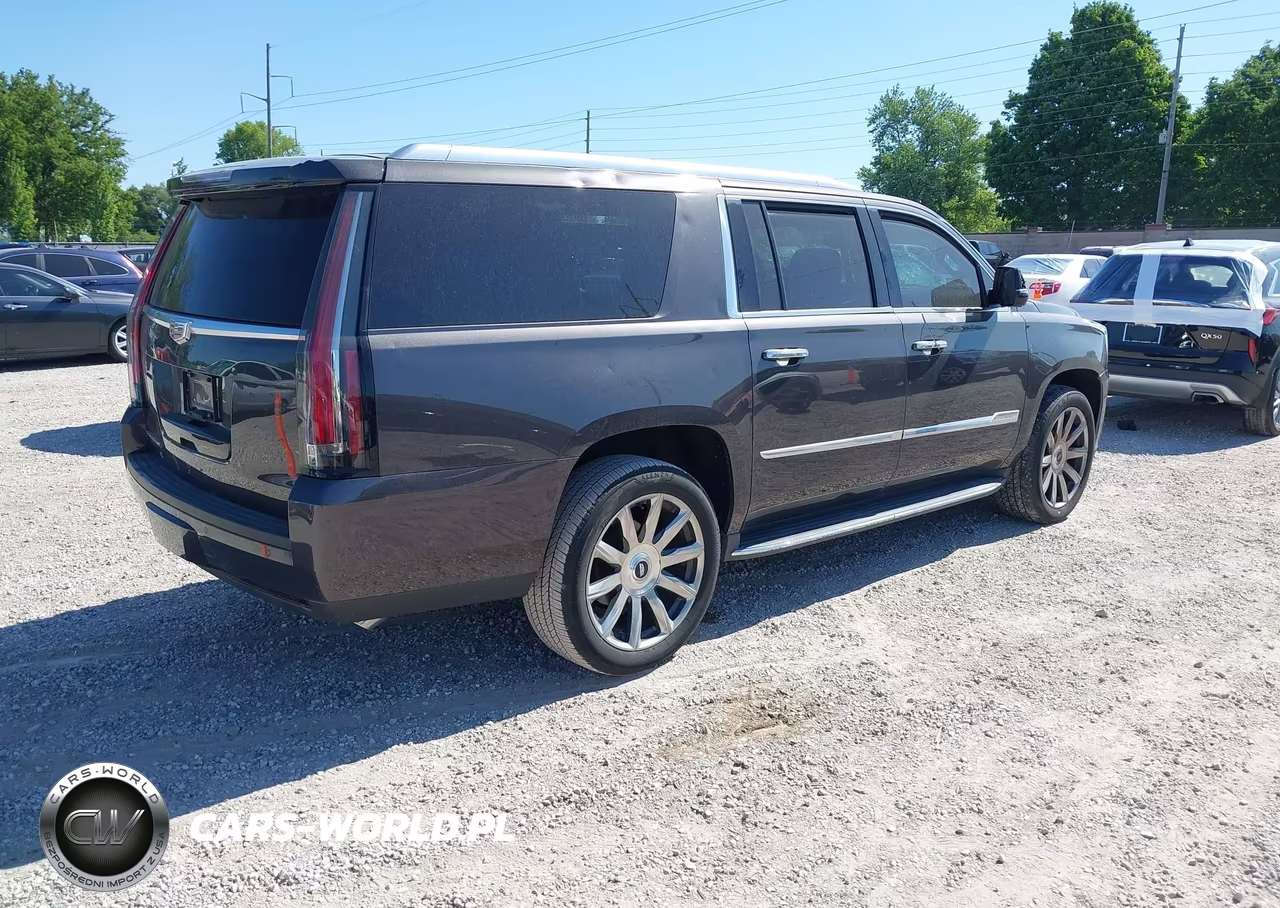 2016 Cadillac Escalade Esv Luxury Collection VIN:1GYS4HKJ0GR166407 - 4