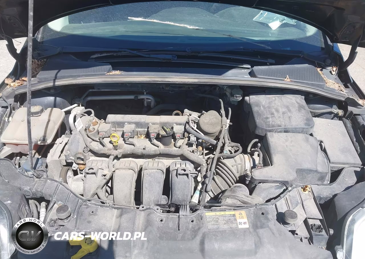2014 Ford Focus Se VIN:1FADP3K26EL174647 - 10