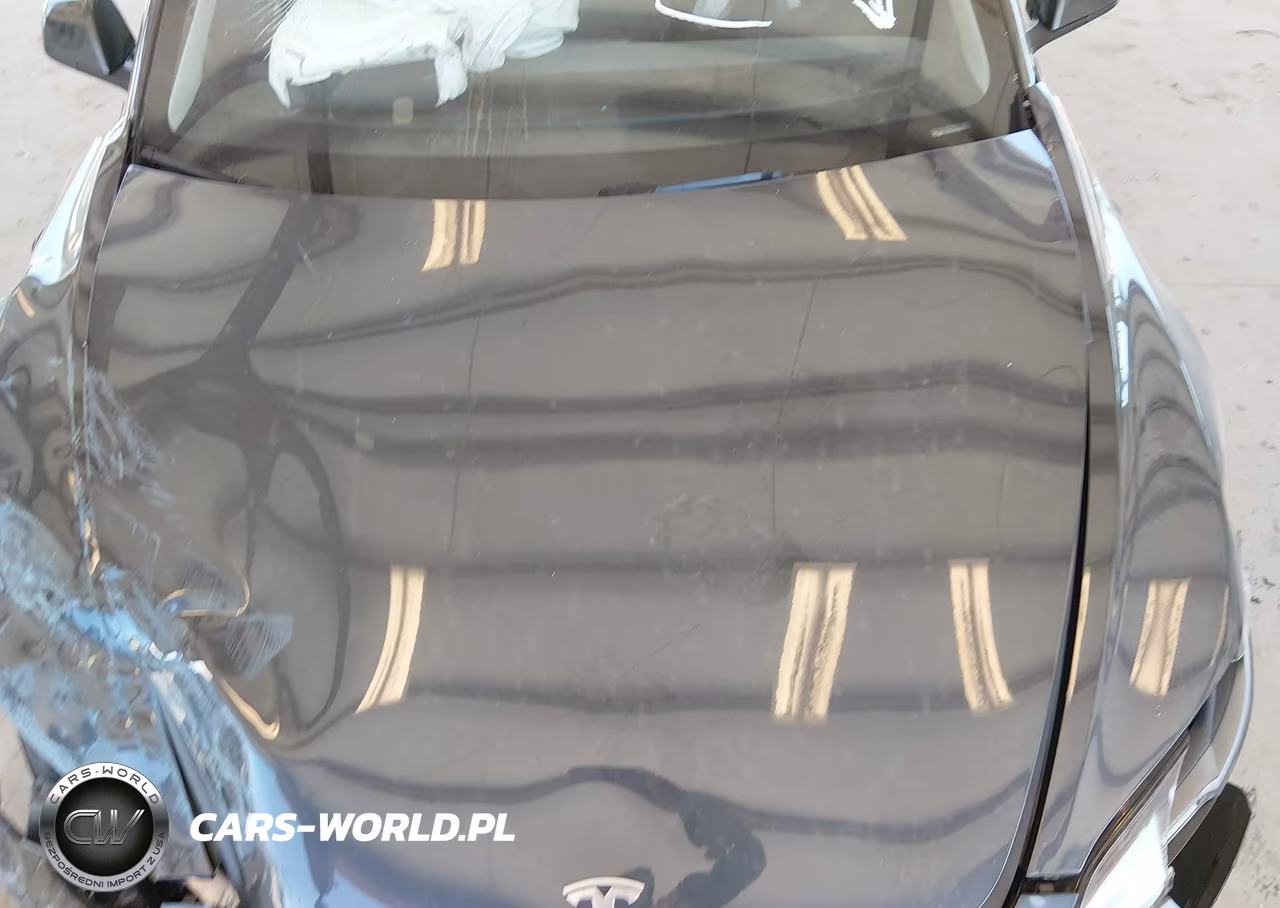 2025 Tesla Model 3 Long Range Rear-Wheel Drive-Standard Rear-Wheel Drive VIN:5YJ3E1EA1SF042011 - 10