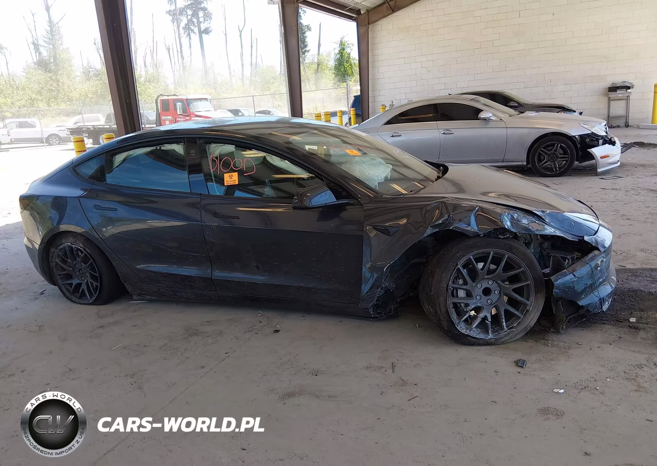 2025 Tesla Model 3 Long Range Rear-Wheel Drive-Standard Rear-Wheel Drive VIN:5YJ3E1EA1SF042011 - 12