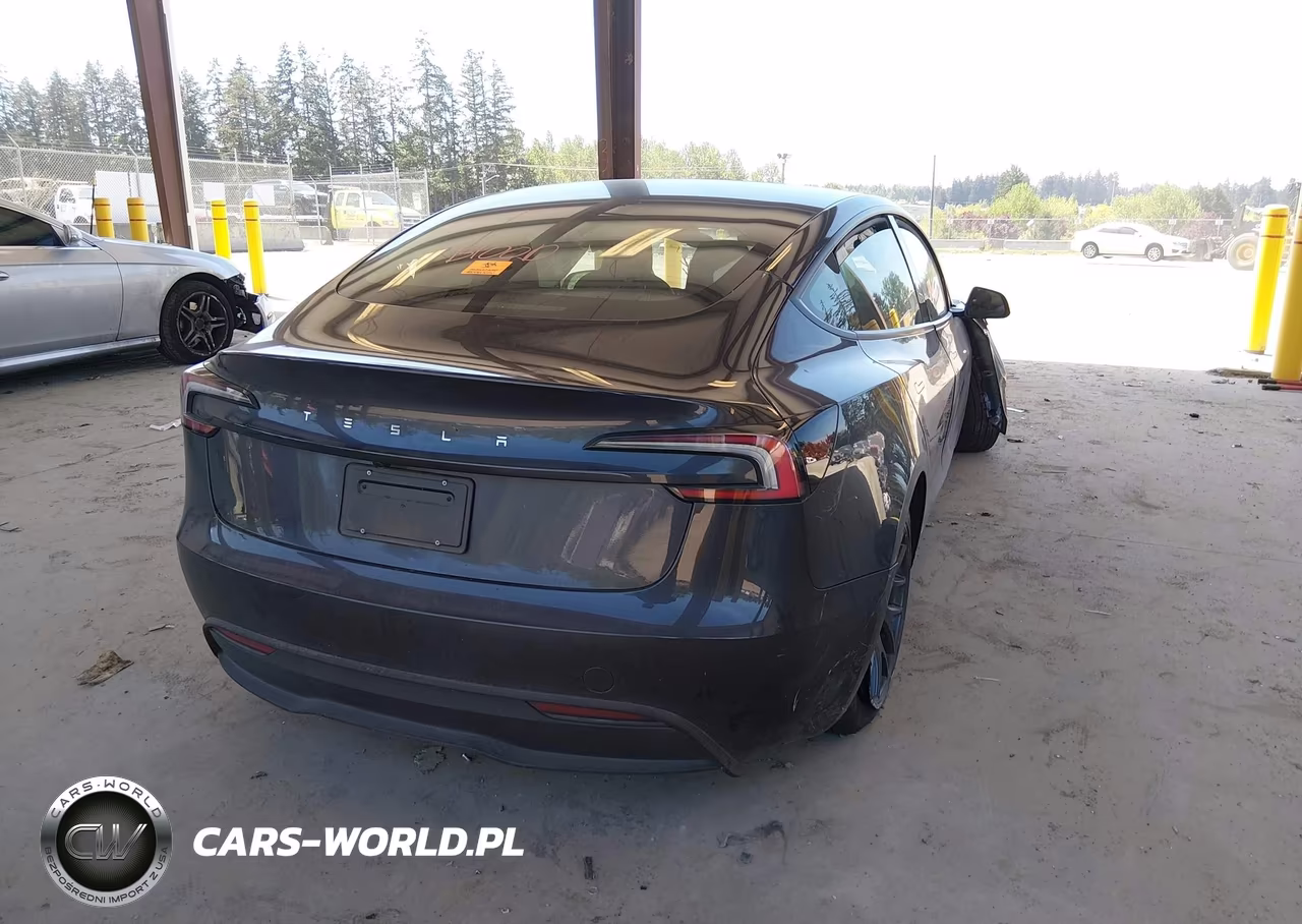 2025 Tesla Model 3 Long Range Rear-Wheel Drive-Standard Rear-Wheel Drive VIN:5YJ3E1EA1SF042011 - 4