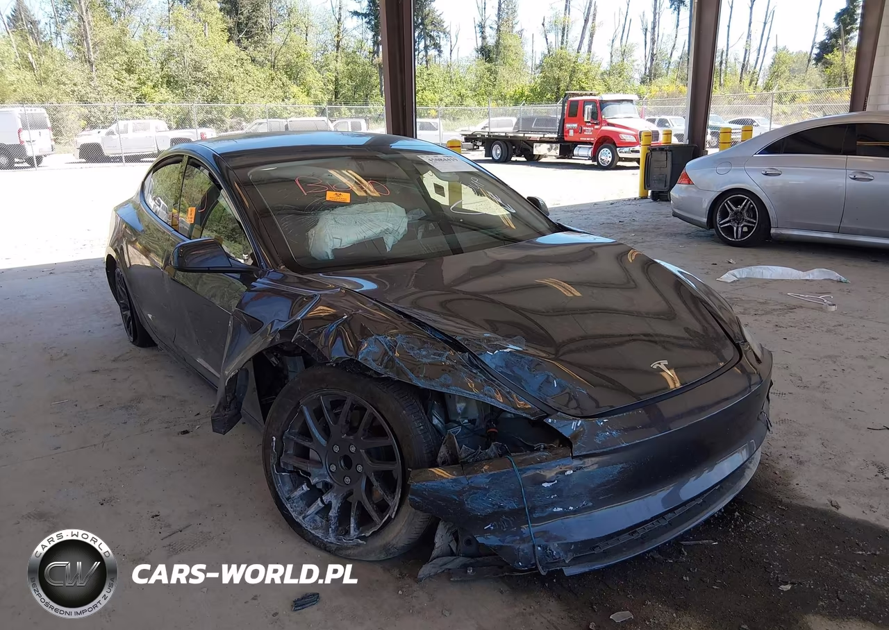 2025 Tesla Model 3 Long Range Rear-Wheel Drive-Standard Rear-Wheel Drive VIN:5YJ3E1EA1SF042011 - 6