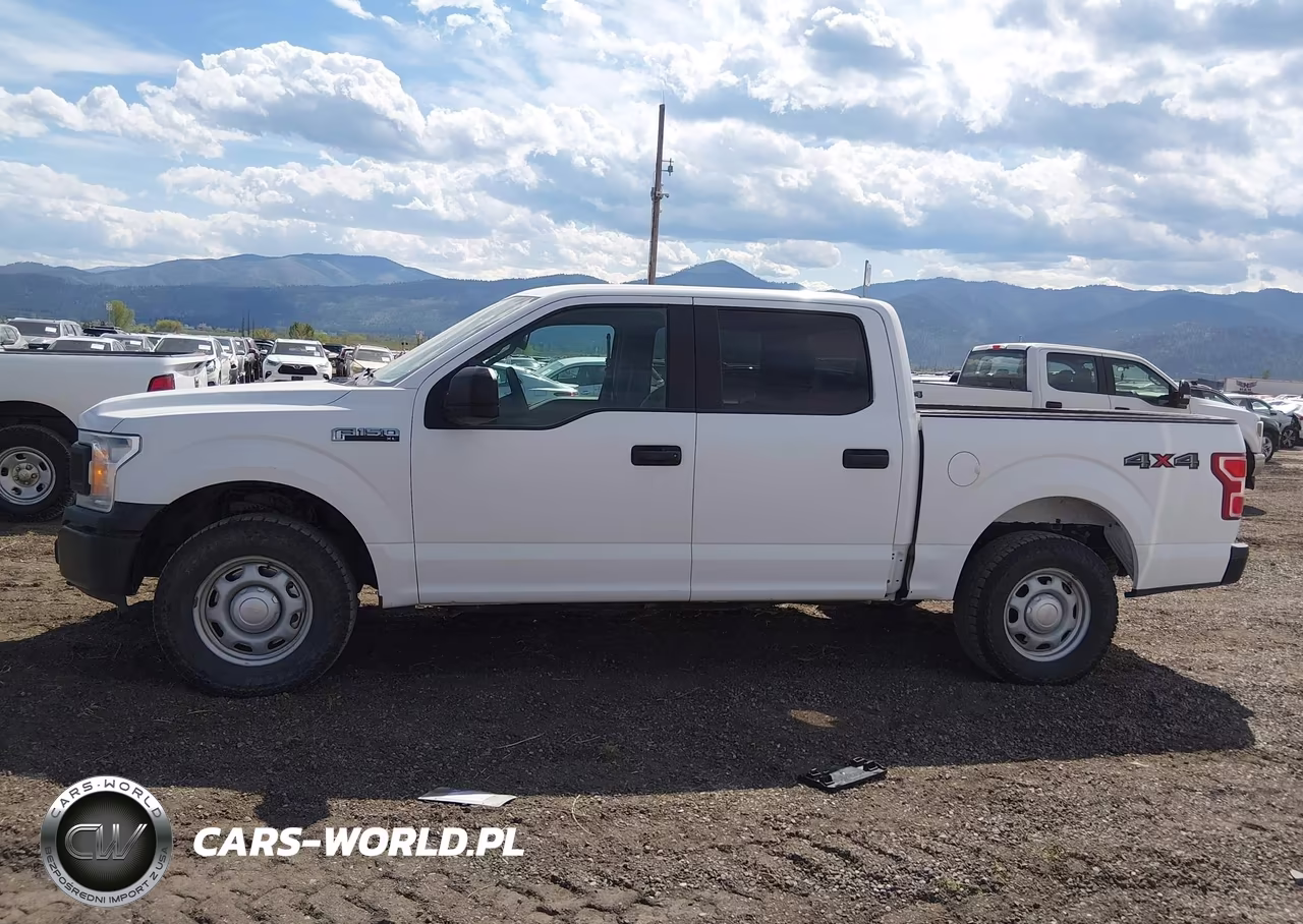 2020 Ford F-150 Xl VIN:1FTEW1EB4LKF21722 - 19
