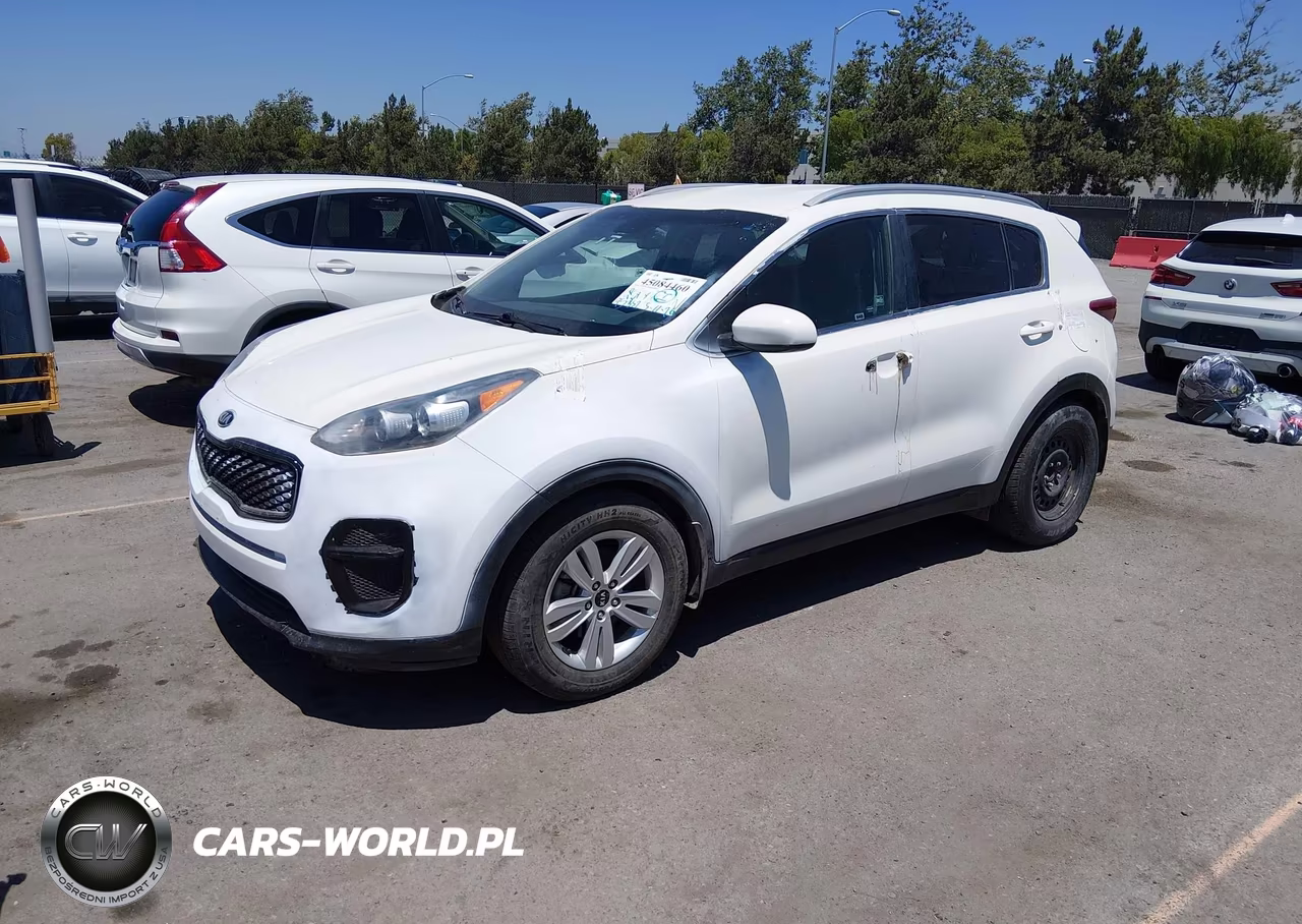 2017 Kia Sportage Lx VIN:KNDPM3AC7H7205900 - 2