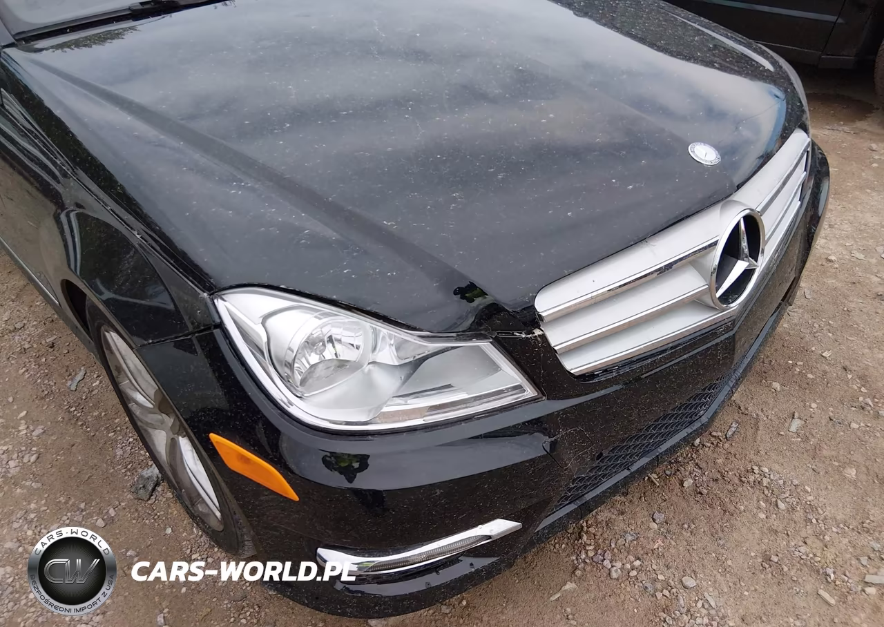 2013 Mercedes-Benz C 300 Sport 4Matic VIN:WDDGF8AB3DR241344 - 17