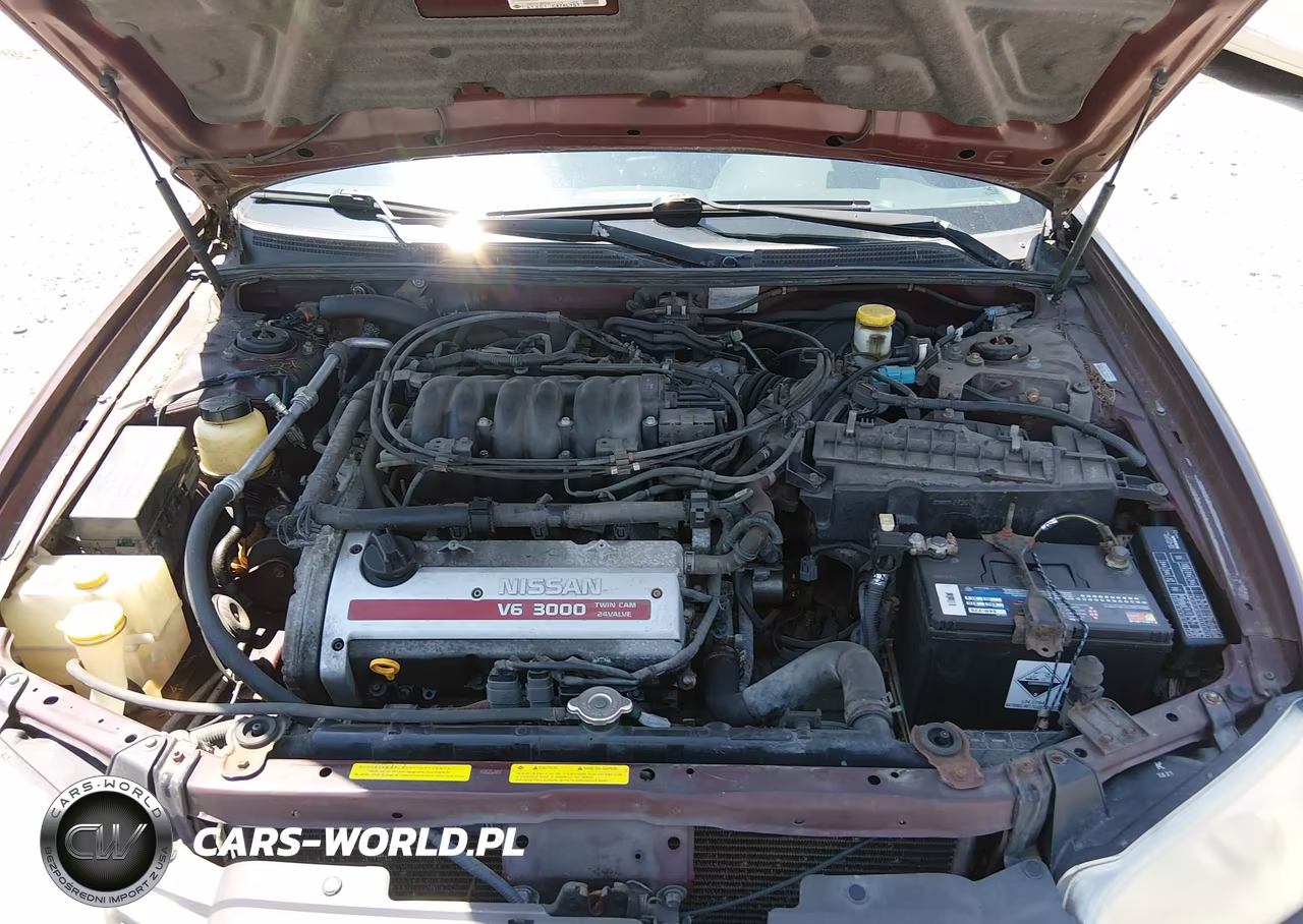 2001 Nissan Maxima Se VIN:JN1CA31A01T317668 - 10