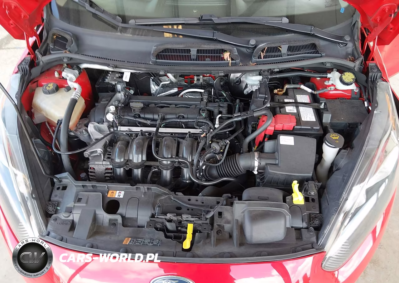 2014 Ford Fiesta Se VIN:3FADP4EJXEM183424 - 10