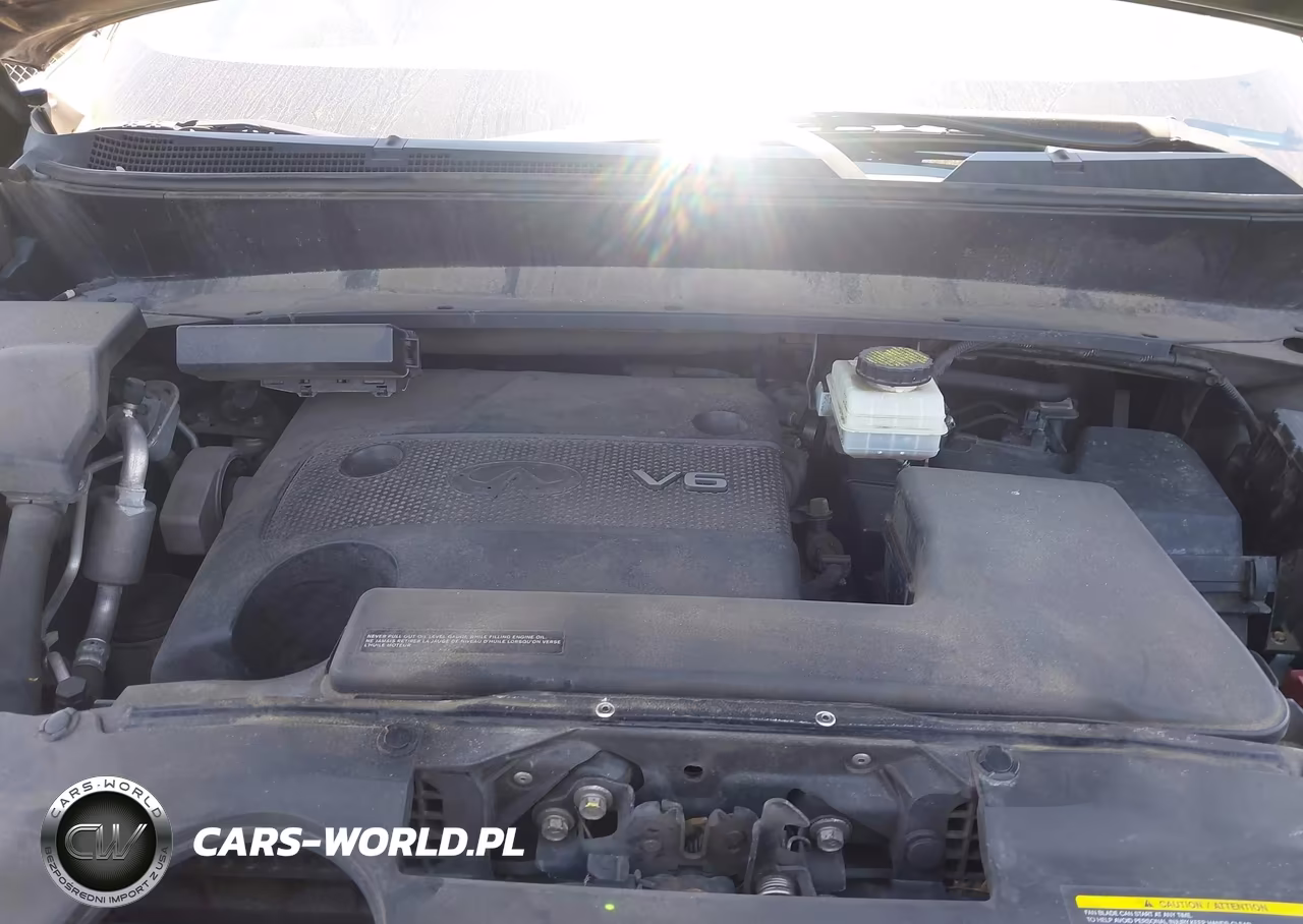 2015 Infiniti Qx60 VIN:5N1AL0MM5FC550161 - 10