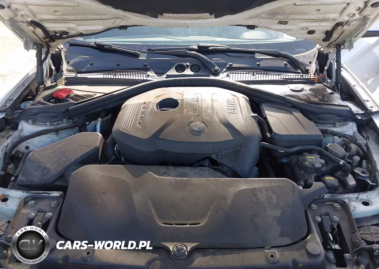 2017 BMW 230I VIN:WBA2F9C32HV664863 - 10