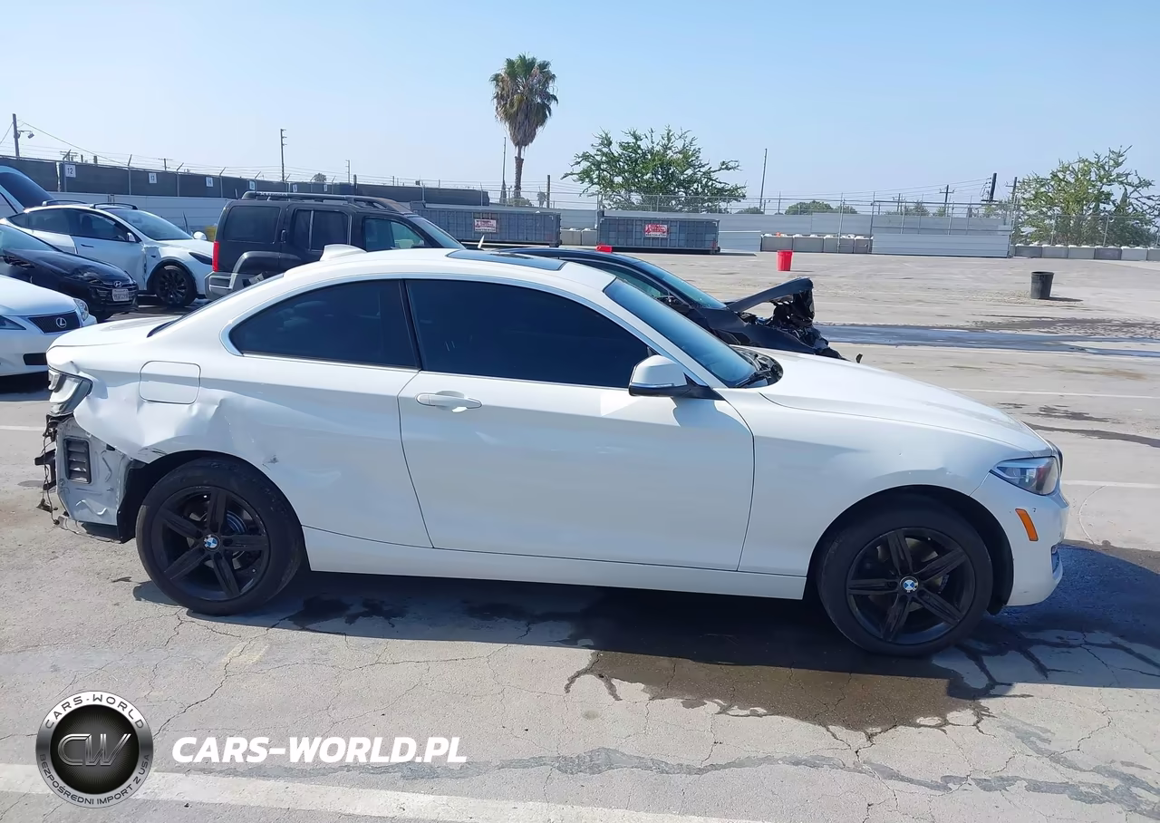 2017 BMW 230I VIN:WBA2F9C32HV664863 - 14