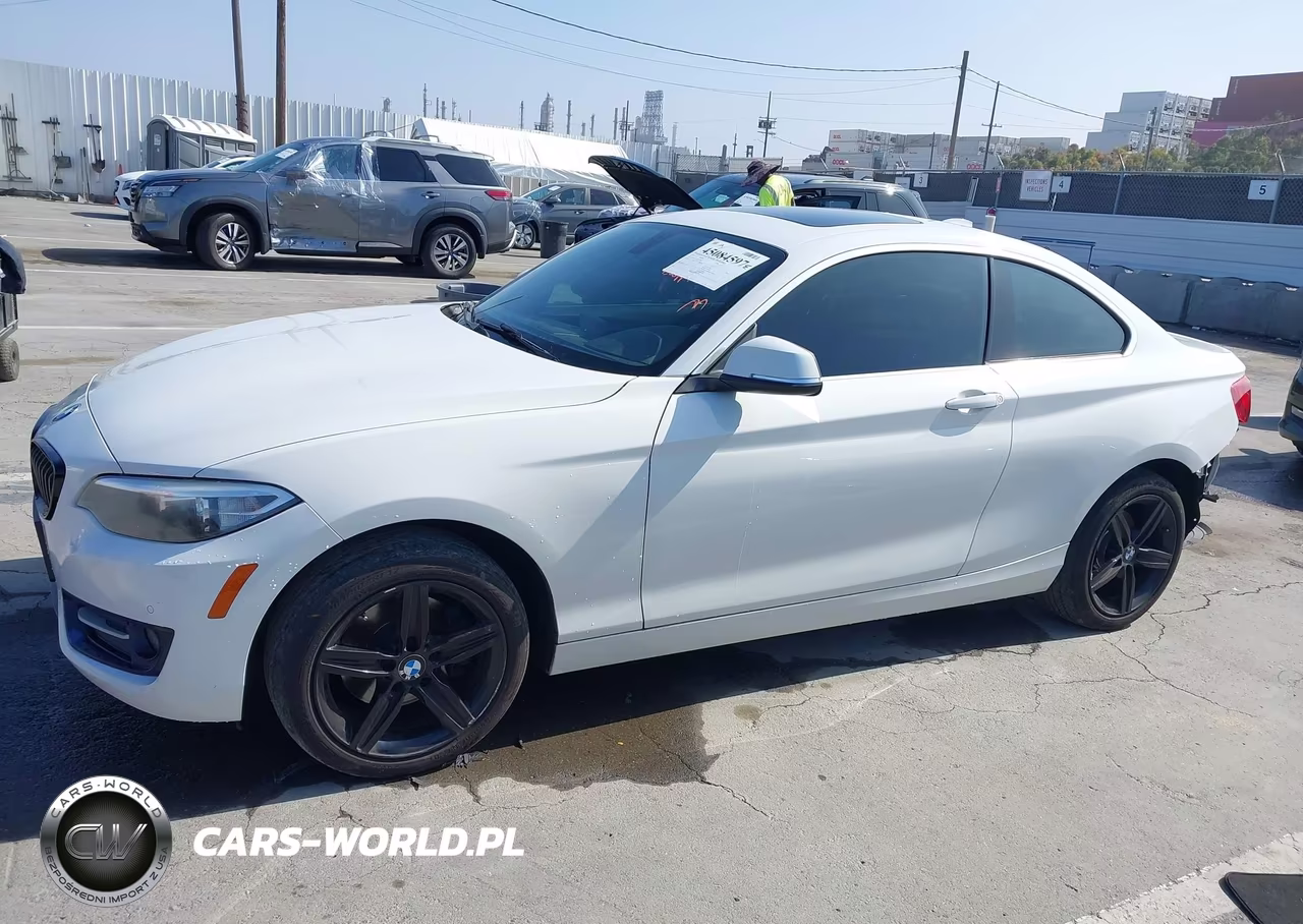 2017 BMW 230I VIN:WBA2F9C32HV664863 - 15