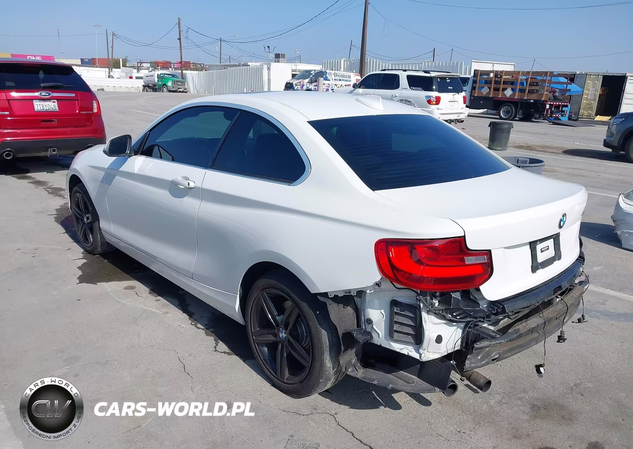 2017 BMW 230I VIN:WBA2F9C32HV664863 - 3