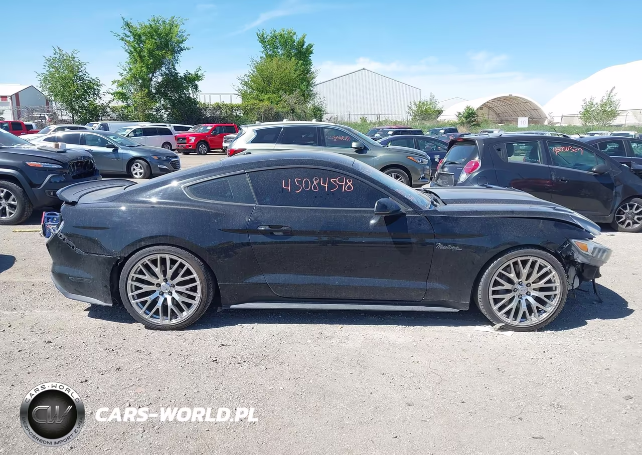 2015 Ford Mustang Gt Premium VIN:1FA6P8CF3F5370140 - 13
