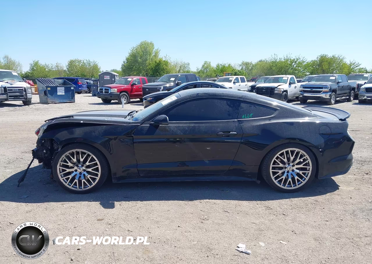 2015 Ford Mustang Gt Premium VIN:1FA6P8CF3F5370140 - 14