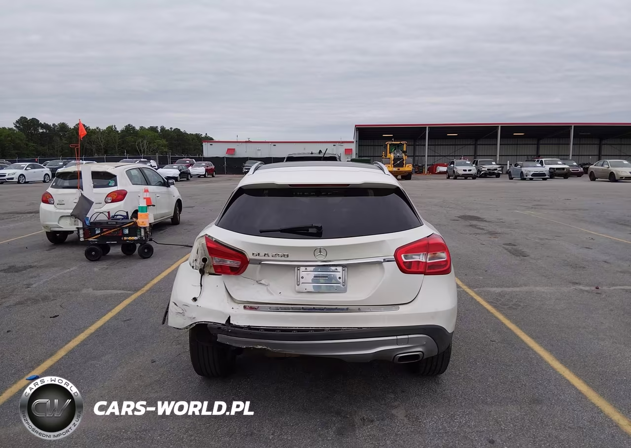 2016 Mercedes-Benz Gla 250 VIN:WDCTG4EB0GJ256776 - 16