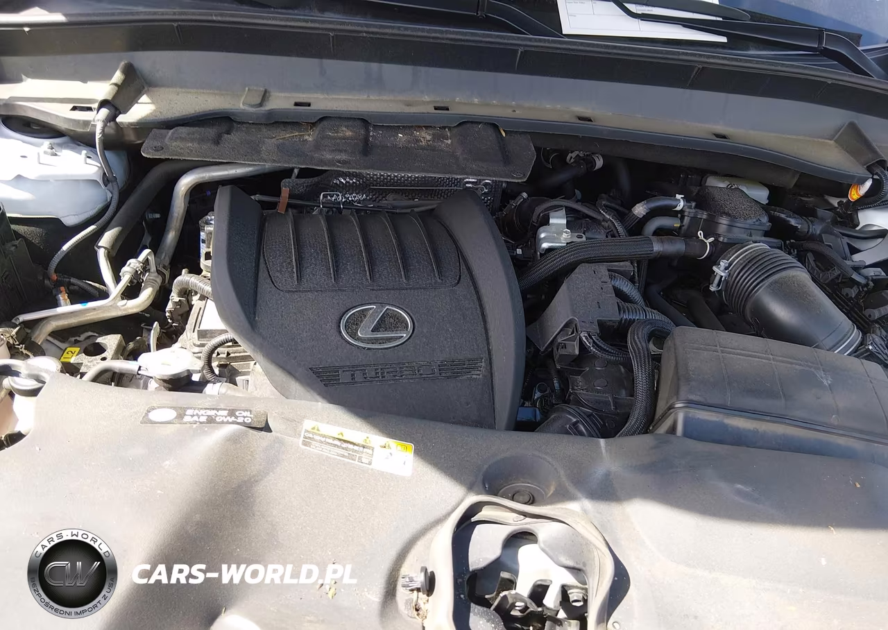 2024 Lexus Tx 500H F Sport Luxury VIN:5TDABAB67RS001467 - 10