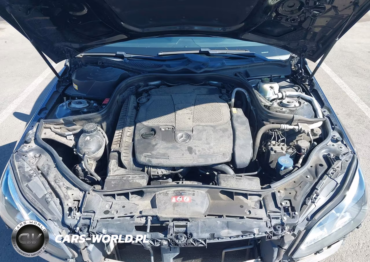 2014 Mercedes-Benz E 350 VIN:WDDHF5KB8EB010855 - 10