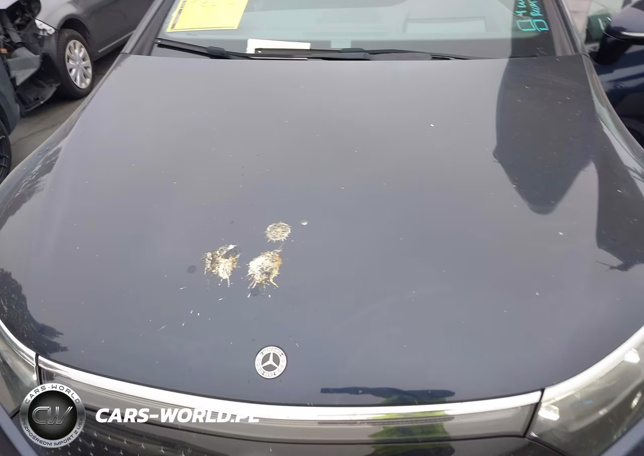 2023 Mercedes-Benz Eqs 580 4Matic VIN:W1KCG4EBXPA039358 - 10