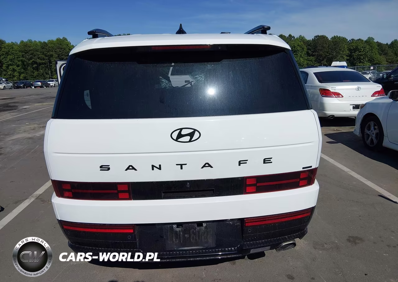 2025 Hyundai Santa Fe Calligraphy VIN:5NMP5DGL7SH083646 - 17
